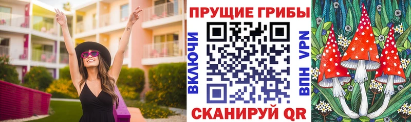 Галлюциногенные грибы Psilocybe Петров Вал